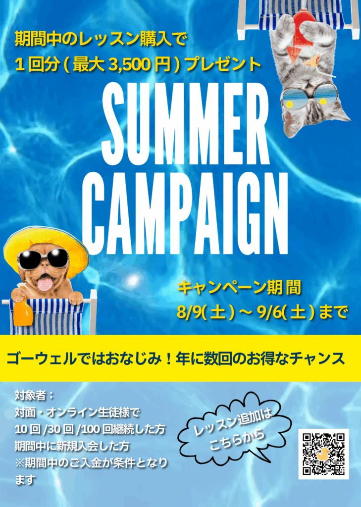 サマーキャンペーン2025